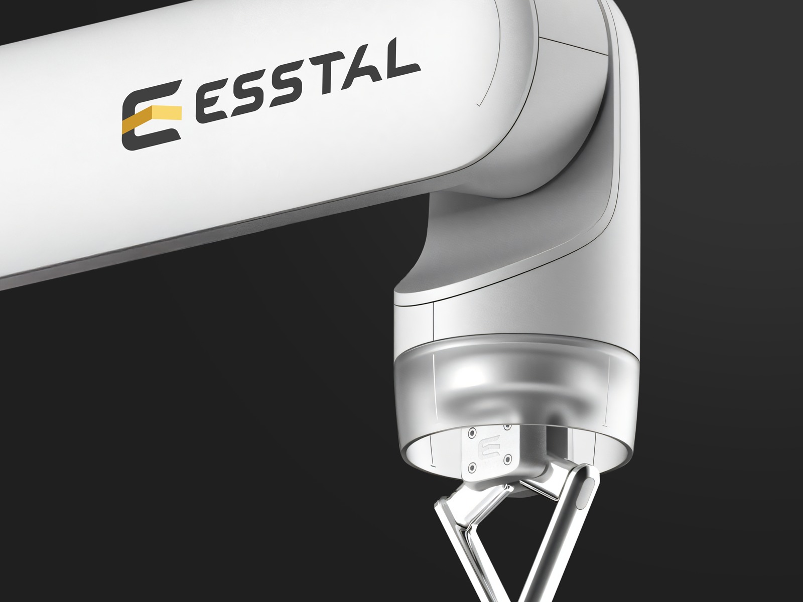 WhatsApp Image 2026-04-17 at 4.13.02 PM (2)